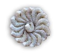 Frozen Raw Easy Peel Headless Shell-On Freshwater King Prawns 800g x 10 Packs (6-8 per Pack) - Jumbo Premium Prawns