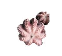 Frozen Raw Octopus 1.5kg - Gutted and Ready to Cook - Premium Quality Seafood for Grilling, Boiling, Stir-Fry or Mediterranean Dishes