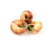 Frozen Snails In Garlic Butter 125g x 10 Trays