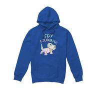 Frozen Stay Colourful With Fire Spirit, Bruni Mens Hoodie Royal frozen Royal S
