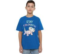 Frozen Stay Colourful With Fire Spirit, Bruni kids t-shirt Disney Royal 7-8 Years