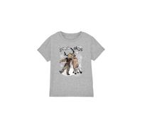 Frozen Sven & Kristoff Snow Bros Kids T-Shirt Light Grey | Size: 3-4 Years frozen Light Grey 3-4 Years