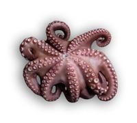 Frozen Whole Raw Cleaned Octopus 1-2kg x 5 Packs | Fish and Seafood Seasoning Set Included