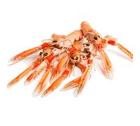 Frozen Whole Scampi (Langoustines) 1kg