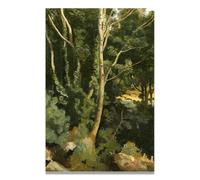 FRTDSAG Trees In The Deep MountainsFrench Barbizon Style Landscape Canvas Art, Rustic Countryside Wall Decor Print30x45cm Unframed