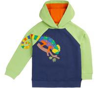 Frugi Kids 100% Organic Cotton Hedgerow Hoodie -