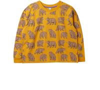 Frugi Mens 95% Organic Cotton Ethan Printed Sweatshirt -
