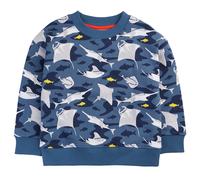 Frugi Ray Fever Superb Sweatshirt