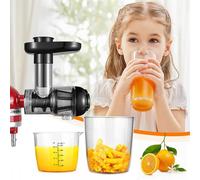 Fruit and Vegetable Slow Juicer - Compatible with Kitchenaid Blenders Compatible with Healthy Juicing