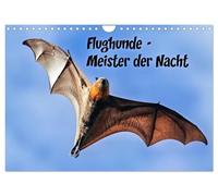 Fruit bats - masters of the night UK-Version (Wall Calendar 2026 DIN A4 Landscape), CALVENDO 12 Month Wall Calendar