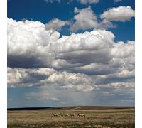 Fruit Bats - Tripper [VINYL]