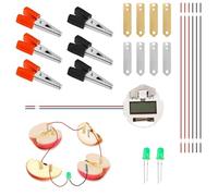 Fruit Battery Science Experiment Kit, Children Educational Bio Energy Science DIY Fruit Battery Fun Electricity Experiments Toy Potato Light with Digital Clock Bulb for Home School Primary Student