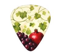 Fruit Bounty Illustration Guitar Picks Gift Set - 12 Smooth Durable Plectrums For Acoustic, Electric & Bass Guitar, Perfect Present For Guitar Lovers & Musicians