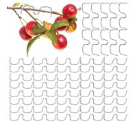 Fruit Branch Spreader | Farm Bending Tying Tools | Fruit Tree Branch Limb Spreader | for Training Sapling Pruning Flowering Plant Garden Orchard