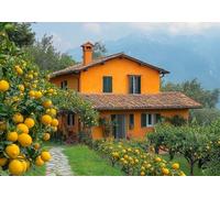 Fruit Diamond Art Kits Adults,5D Diamond Painting Kits for Adults,Full Drill Gem Art Kits DIY Cross Stitch Arts Crafts Cottage Pictures Embroidery Beginners Crafts Home Decoration Gifts Women 80x110cm