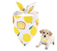 Fruit Dog Bandana | Dog Bandana with Fruit Pattern - Fruit Theme Dog Triangle Bib, Skin-friendly Pet Neckerchief for Puppy, Small Dog