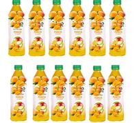 Fruit Drink - 500ml - Mixed Flavours: Natural, Mango, Blueberry, Strawberry, Summer Berries & BIG Refreshing & Fruity - Flta (12 x botle, Mango)