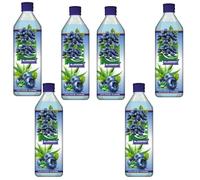 Fruit Drink - 500ml - Mixed Flavours: Natural, Mango, Blueberry, Strawberry, Summer Berries & BIG Refreshing & Fruity - Flta (6 x bottle, Blueberry)