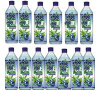 Fruit Drink - 500ml - Mixed Flavours: Natural, Mango, Blueberry, Strawberry, Summer Berries & BIG Refreshing & Fruity - Flta (12 x botle, Blueberry)