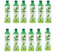 Fruit Drink - 500ml - Mixed Flavours: Natural, Mango, Blueberry, Strawberry, Summer Berries & BIG Refreshing & Fruity - Flta (12 x botle, Aloe Vera Natural)