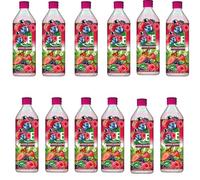 Fruit Drink - 500ml - Mixed Flavours: Natural, Mango, Blueberry, Strawberry, Summer Berries & BIG Refreshing & Fruity - Flta (12 x botle, Berries)