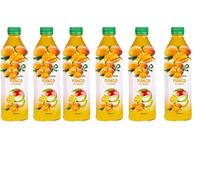 Fruit Drink - 500ml - Mixed Flavours: Natural, Mango, Blueberry, Strawberry, Summer Berries & BIG Refreshing & Fruity - Flta (6 x bottle, Mango)