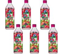 Fruit Drink - 500ml - Mixed Flavours: Natural, Mango, Blueberry, Strawberry, Summer Berries & BIG Refreshing & Fruity - Flta (6 x bottle, Berries)