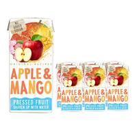 Fruit Flavour Water Variety Pack - Apple & Pear, Mango & Summer Berries - 200ml Juice Drink Cartons - No Added Sugar - cwp (6 x Pack, Apple & Mango Fruit Water)