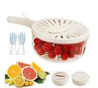 Fruit Fly Proof Bowl for Easy Cleaning, Multifunctional Fruit and Vegetable Washing Bowl with Net Basket, Vegetable Drainer Container with Foldable Handle, Kitchen 2 in 1 Strainer (1PCWhite)