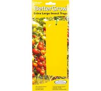 Fruit Fly Traps by BetterGrow, Extra Large Double-sided Fungus Gnat Sticky Catchers For All Insects, Plant Fly Control Indoor (10 PCS Yellow)
