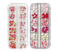 Fruit Nail Charms,2Box 24Grids Cherry Strawberry Nail Gems and Rhinestones,Resin 3D Nail Art Decorations for Women Girls Manicure Design DIY Crafts (Red)