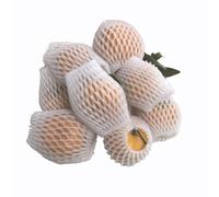 Fruit net bags, 50pcs Foam Net Sleeve Pocket, For Shockproof Protection Transport Packing Vegetable Fruit Thicken Mesh Bag(17X7CM)