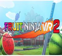 Fruit Ninja VR 2 PC Steam Account