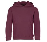 Fruit Of The Loom Boy's Pull-over Classic Pull-over Long Sleeve Hooded Sweat, Red (Burgundy), 12-13 Years (Manufacturer Size: 152)