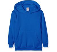 Fruit of the Loom Boy's Pull-over Classic Pull-over Long Sleeve Hooded Sweat, Royal, 14-15 Years (Manufacturer Size: 164)