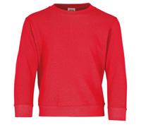 Fruit of the Loom Boys' Sweatshirt red red 12-13 Years