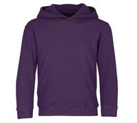 Fruit of the Loom Children’s Hooded Sweatshirt, Purple, 12-13 Years