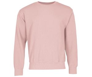 Fruit of the Loom Classic Set-In Sweat + Free MyShirt Fabric Bag, Powder rose, L