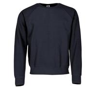 Fruit of the Loom Men's Raglan Classic Sweater – Deep Blue (Navy) – Large