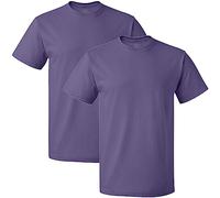 Fruit of the Loom Men's Crew T-Shirt (2 Pack), Purple, S (Pack of 2)