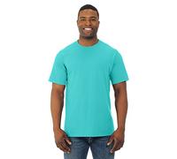 Fruit Of The Loom Mens HD Cotton Short Sleeve Crew T-Shirt, L, Scuba Blue