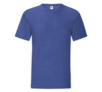 Fruit of the Loom Mens Iconic T-Shirt (L) (Heather Royal)
