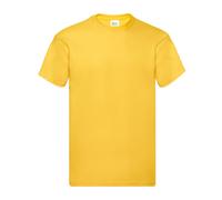 Fruit of the Loom Mens Original T-Shirt RW9904