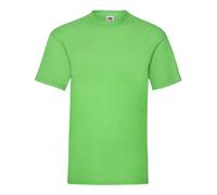 Fruit of The Loom Mens Plain Short Sleeve Crew Neck T Shirts | Casual Cotton Top