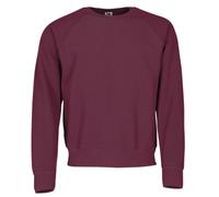 Fruit of the Loom Men's Raglan Classic Sweater, Burgundy, Large