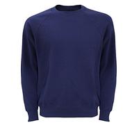 Fruit of the Loom Men's Raglan Classic Sweater, Navy, Medium