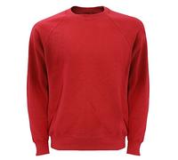 Fruit of the Loom Men's Raglan Classic Sweater, Red, Small
