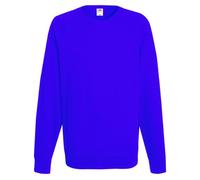 Fruit of the Loom Men's Raglan Classic Sweater, Royal, Small
