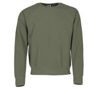 Fruit of the Loom Mens Raglan Sleeve Belcoro® Sweatshirt (2XL) (Classic Olive)