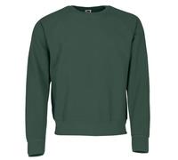 Fruit of the Loom Men's Raglan Sweatshirt Regular Fit Crew Neck Long Sleeve Sweatshirt, Green (Bottle Green 000), Small (Manufacturer Size:Small)